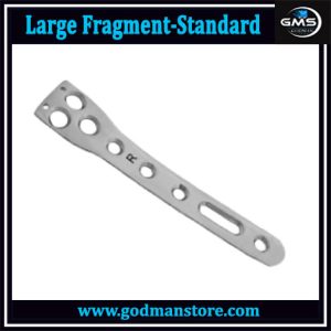 Large Fragment-Standard